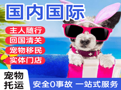 临沂机场托运国际宠物托运 【国